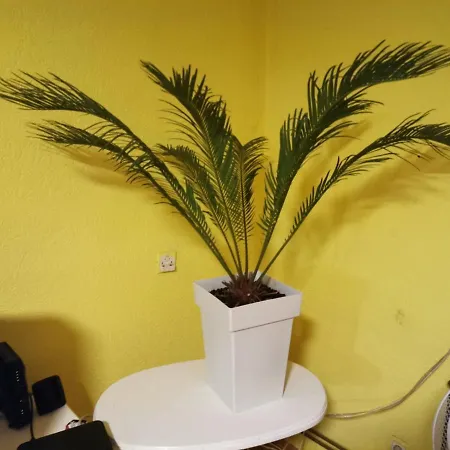 Kuca Za Odmor Simic * Vrnjacka Banja