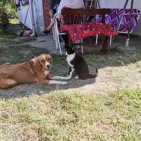 Kuca Za Odmor Simic *